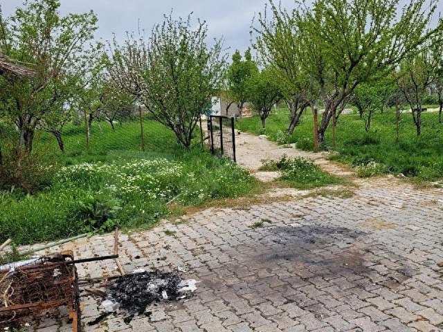 Eğercide kiralık 2+1 bahçeli ev - Görsel 6