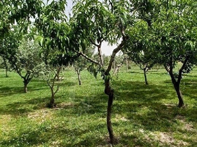 Eğercide kiralık 2+1 bahçeli ev - Görsel 12