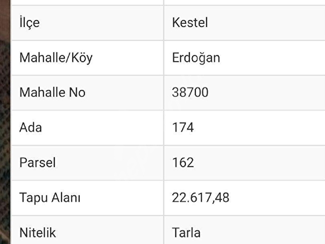 EMLAK VIZYONUNDAN BURSA KESTEL ERDOĞAN SATILIK HOBİ BAHÇESİ - Görsel 3