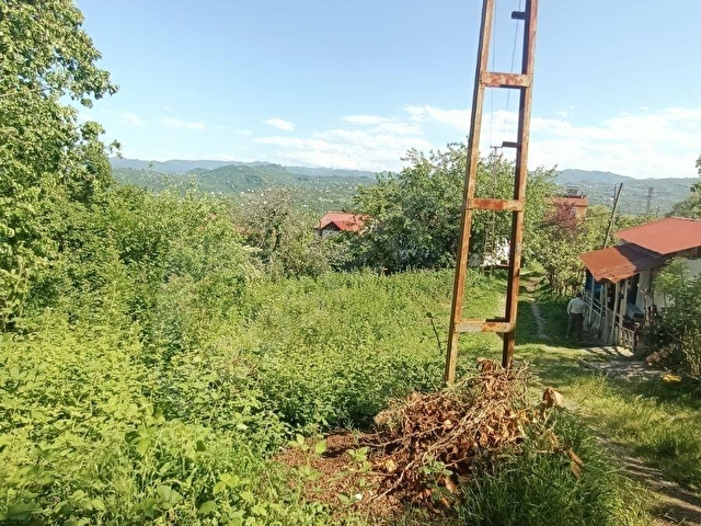 ORDU MERKEZE BAĞLI YEMİŞLİDE SATILIK FIRSAT MÜSTAKİL BAHÇE - Görsel 6