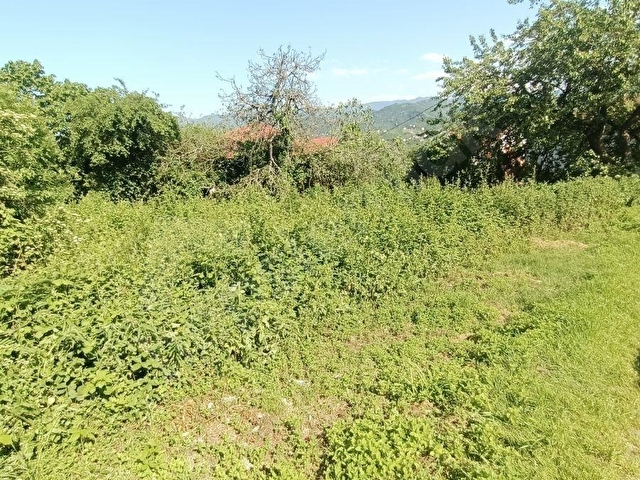 ORDU MERKEZE BAĞLI YEMİŞLİDE SATILIK FIRSAT MÜSTAKİL BAHÇE - Görsel 12