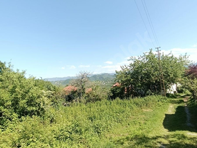 ORDU MERKEZE BAĞLI YEMİŞLİDE SATILIK FIRSAT MÜSTAKİL BAHÇE - Görsel 2