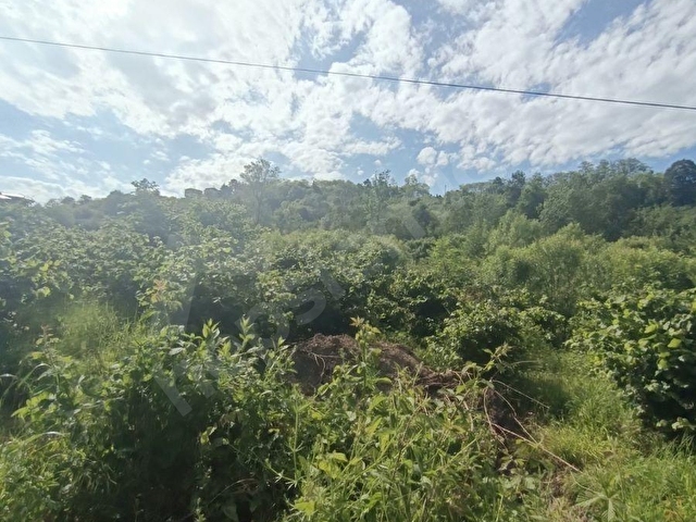ORDU MERKEZE BAĞLI YEMİŞLİDE SATILIK FIRSAT MÜSTAKİL BAHÇE - Görsel 19