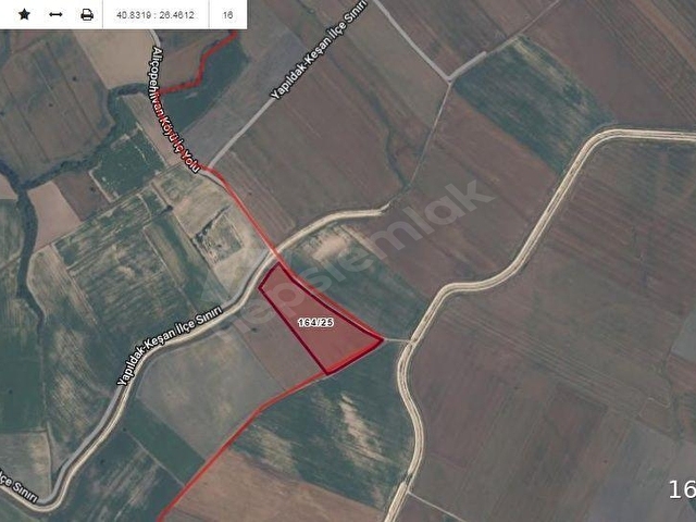 ALİÇOPEHLİVANKÖYÜ YOLA CEPHELİ 17.774 M2 DÜZ VERİMLİ TARLA - Görsel 3