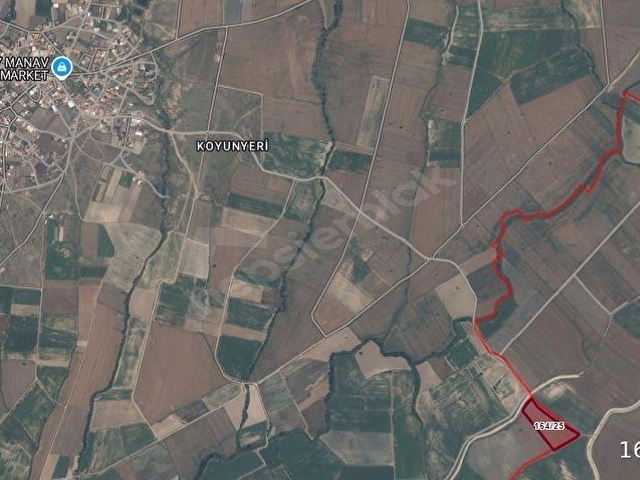 ALİÇOPEHLİVANKÖYÜ YOLA CEPHELİ 17.774 M2 DÜZ VERİMLİ TARLA - Görsel 4