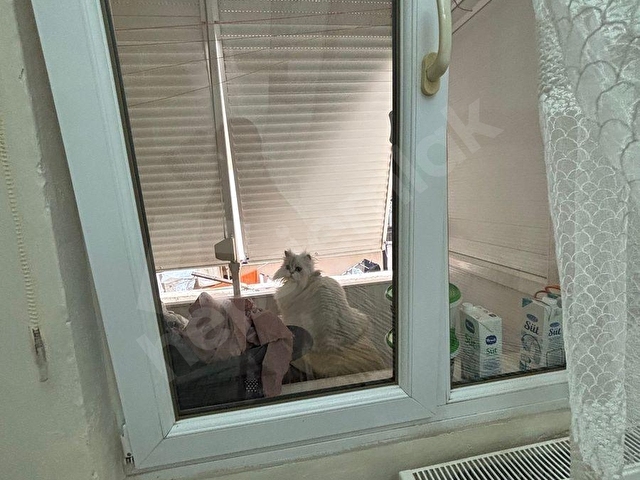 Şirinyer merkezi her yere yakın - Görsel 9