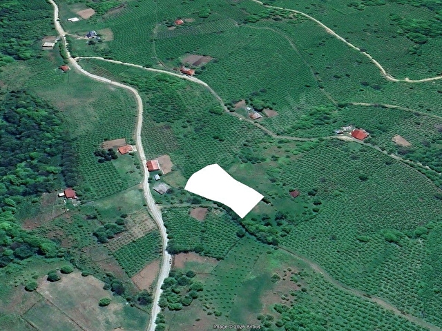 NORTHKEYDEN BAHARİYE MAHALLESİNDE SATILIK BAHÇE - Görsel 7
