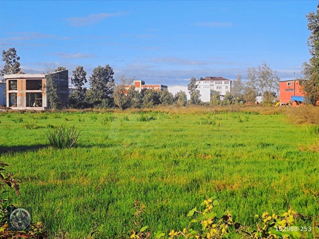 Alibeyden Terme Y.Sanayide Satılık Ticari imarlı Arsalar