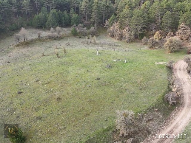 BOLU MUDURNUDA OTELLER BÖLGESİNDE 7.965M2 UYGUN ARSA - Görsel 29