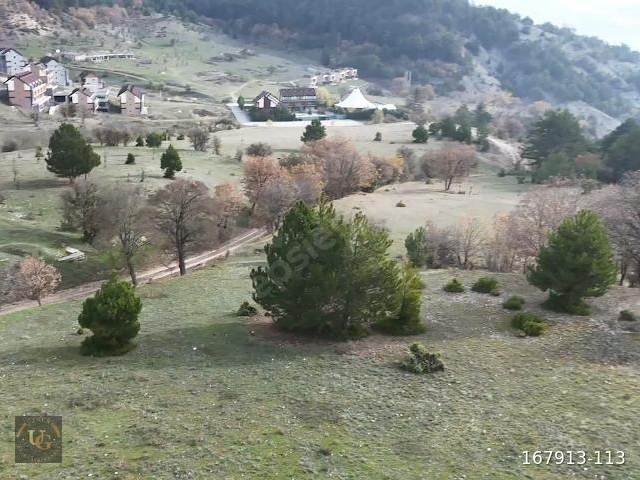 BOLU MUDURNUDA OTELLER BÖLGESİNDE 7.965M2 UYGUN ARSA - Görsel 23