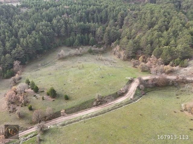 BOLU MUDURNUDA OTELLER BÖLGESİNDE 7.965M2 UYGUN ARSA - Görsel 18