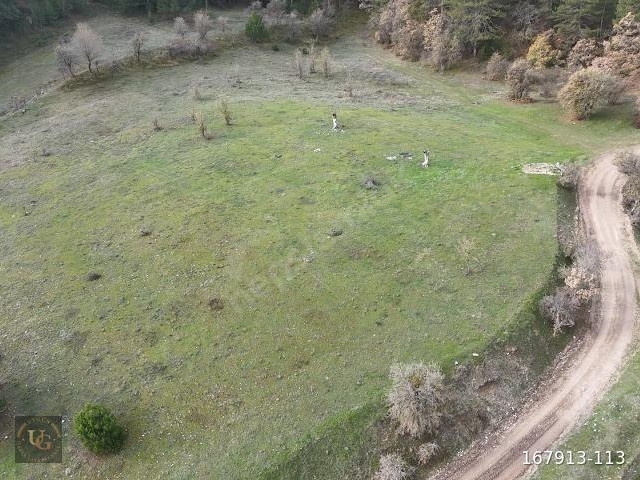 BOLU MUDURNUDA OTELLER BÖLGESİNDE 7.965M2 UYGUN ARSA - Görsel 28