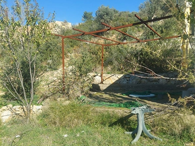 BUCA KIRKLARDA SU VE ELEKTRİĞİ BULUNAN SATILIK ZEYTİNLİK - Görsel 23