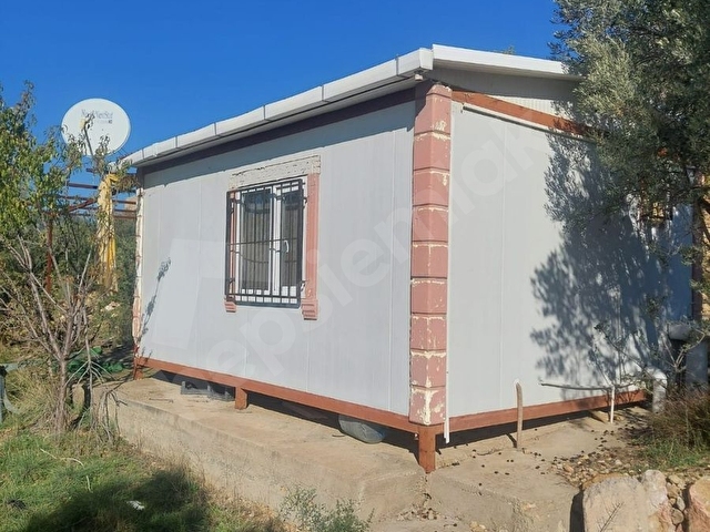 BUCA KIRKLARDA SU VE ELEKTRİĞİ BULUNAN SATILIK ZEYTİNLİK - Görsel 25