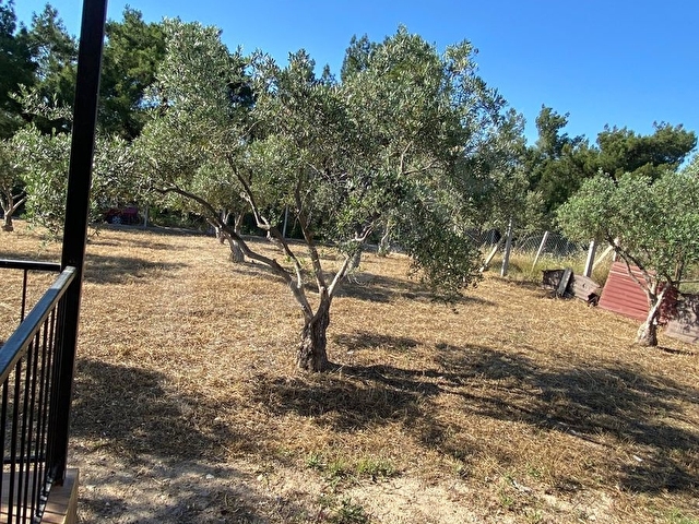 Buca Belenbaşı müstakil tapulu tarla asfalt yola cepheli - Görsel 6