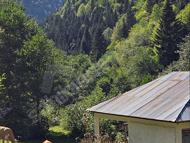 ESAT YAMAKTAN UZUNDEREDE ASFALTA 180 METRE CEPHELİ 7 DÖNÜM ARAZİ