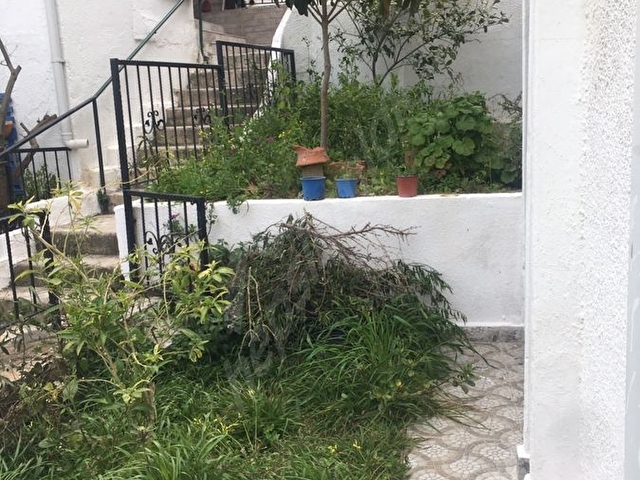 Bodrum karaincir  SARI YAZ KEYFİİ - Görsel 6