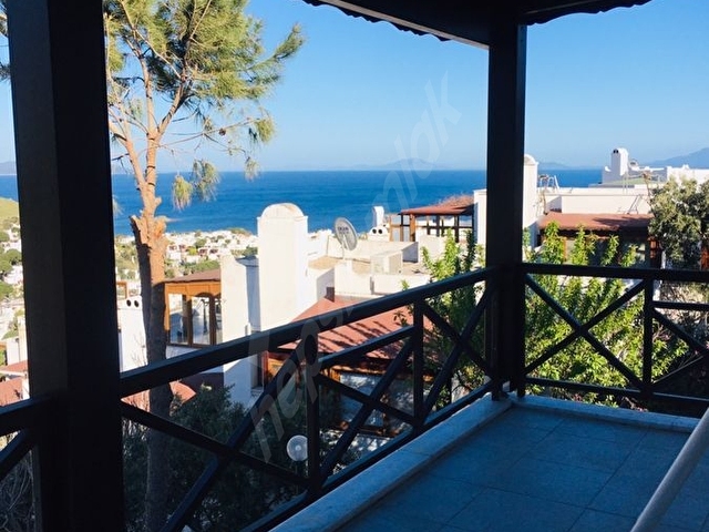 Bodrum karaincir  SARI YAZ KEYFİİ - Görsel 2