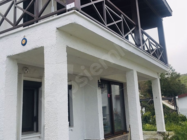 Bodrum karaincir  SARI YAZ KEYFİİ - Görsel 13