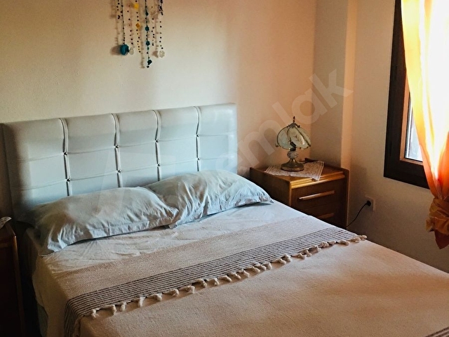 Bodrum karaincir  SARI YAZ KEYFİİ - Görsel 25