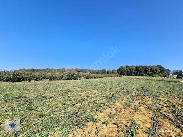 KAYNARCA KAYACIK MAH. %40 2 KAT İMARLI 3527 m² YATIRIMLIK ARSA - Görsel 28