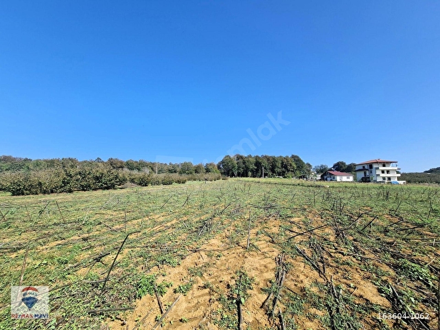KAYNARCA KAYACIK MAH. %40 2 KAT İMARLI 3527 m² YATIRIMLIK ARSA - Görsel 29