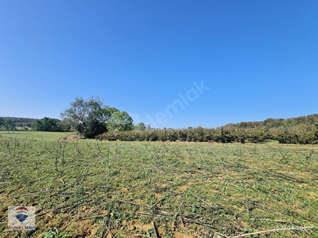 KAYNARCA KAYACIK MAH. %40 2 KAT İMARLI 3527 m² YATIRIMLIK ARSA - Görsel 27