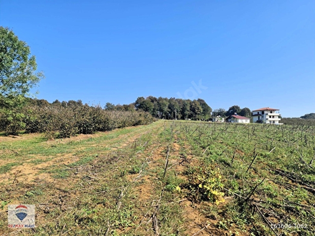 KAYNARCA KAYACIK MAH. %40 2 KAT İMARLI 3527 m² YATIRIMLIK ARSA - Görsel 18