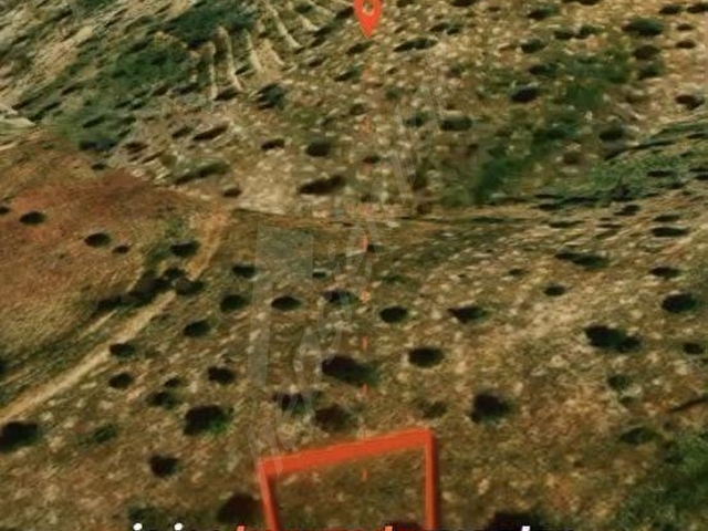 Kaçılmayacak firsat - Görsel 10