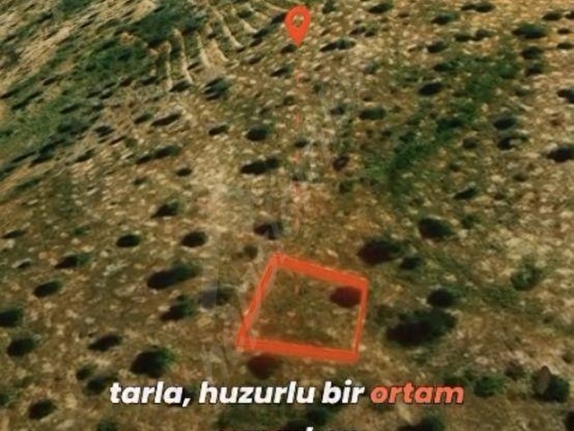 Kaçılmayacak firsat - Görsel 11