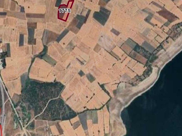 VAV GRUPdan SELİMİYE MAH BARAJ YAKINI 5600 m2 EKİME UYGUN TARLA
