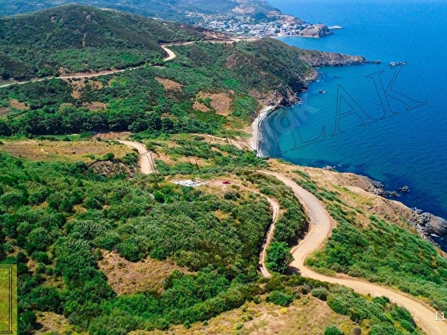 🟨⬛LION EMLAKTAN BANDIRMA SAHİL YENİCEDE DENİZ MANZARALI 3109 M² SATILIK FIRSAT ARAZİ⬛🟨 - Görsel 9