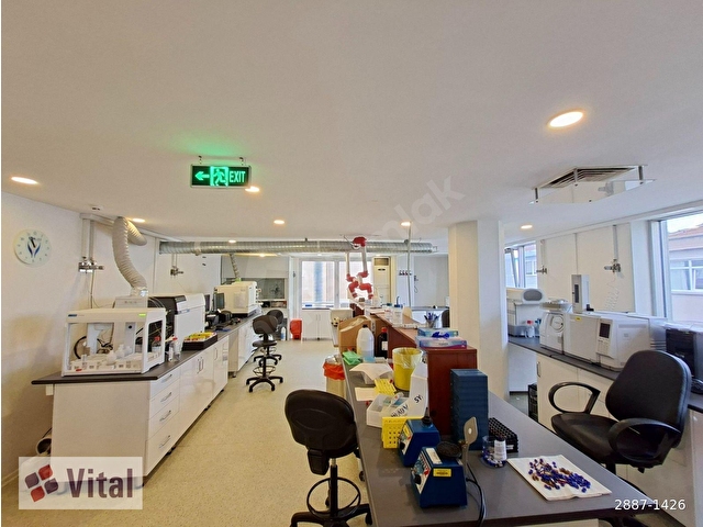 GAYRETTEPE MECİDİYEKÖYDE KİRALIK 880 M2 İSKANLI KOMPLE BİNA - Görsel 6