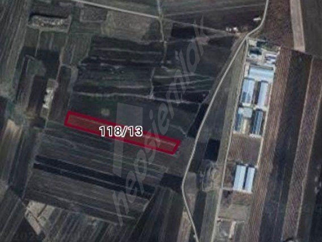ZEYTİNLİ KÖYÜNDE MUHTEŞEM KONUMDA TEK TAPU 27 DÖNÜM BOŞ TARLA - Görsel 2