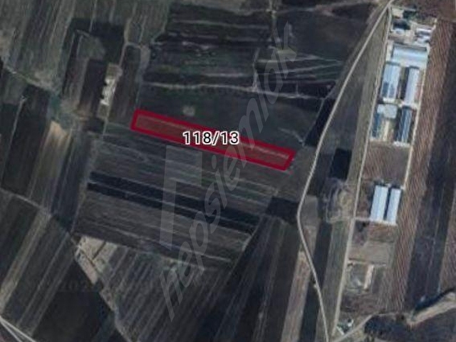 ZEYTİNLİ KÖYÜNDE MUHTEŞEM KONUMDA TEK TAPU 27 DÖNÜM BOŞ TARLA