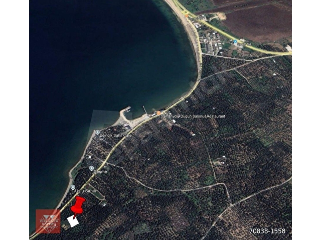 Balıkesir Bandırma Edincik Mah. 1.268 m2 Satılık Zeytinlik Yatırımlık Denize Çok Yakın - Görsel 24