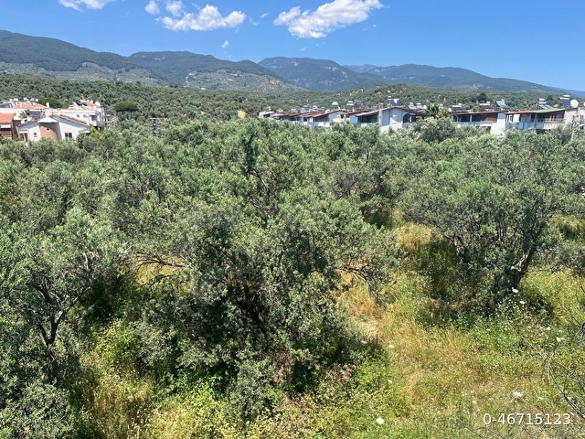 Avcılar altında denize 100m site içi TAM MÜSTAKİL 4+1 villa - Görsel 27