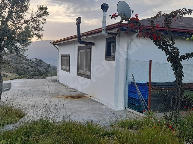 SEYDİKEMER DODURGADA SATILIK MUSTAKİL EV VE ZEYTİNLİK - Görsel 3