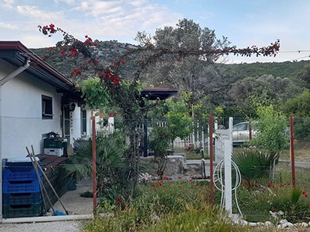 SEYDİKEMER DODURGADA SATILIK MUSTAKİL EV VE ZEYTİNLİK - Görsel 4