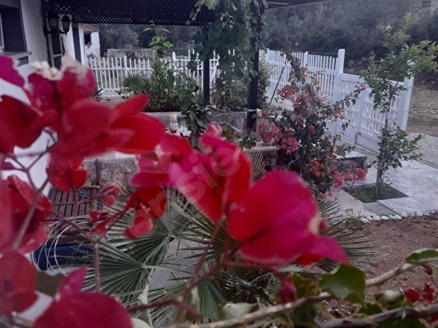 SEYDİKEMER DODURGADA SATILIK MUSTAKİL EV VE ZEYTİNLİK - Görsel 27