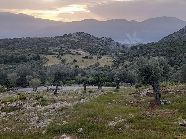SEYDİKEMER DODURGADA SATILIK MUSTAKİL EV VE ZEYTİNLİK - Görsel 26