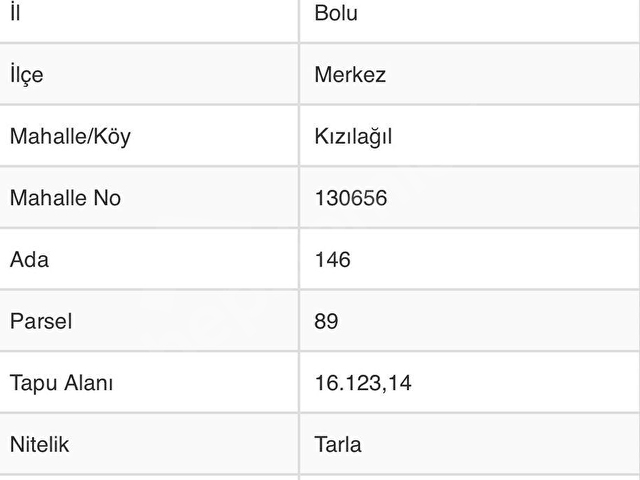 BOLU-KIZILAĞILDA SATILIK KADASTRO YOL CEPHELİ 16.123 M2 TARLA - Görsel 18