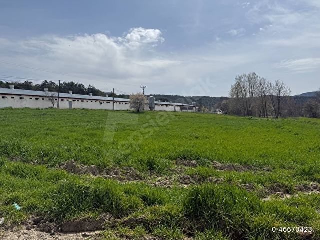 GÖYNÜK KARAARDIÇTA 2.000 m Cartın Yeri+Nallıhan Ankara yolu üzeri