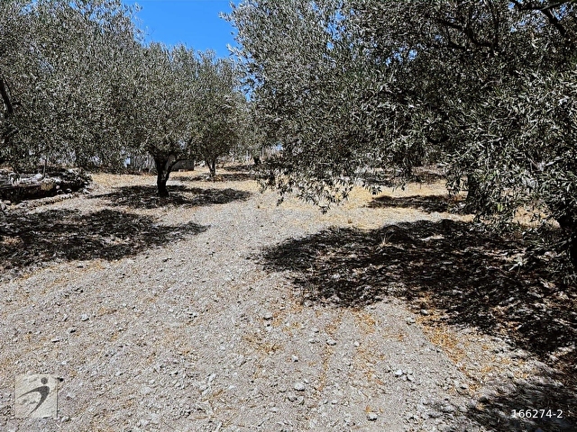 Manisa şehzadeler ilçesi kepenek mah MÜSTAKİL EV ARSA - Görsel 13