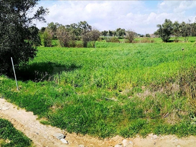 MİLASA 8 KM DOĞA MANZARALI 3.651M² KONUT ARSALARI KAT KARŞILIĞI - Görsel 28
