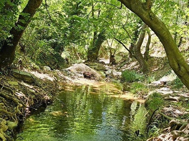 MİLASA 8 KM DOĞA MANZARALI 3.651M² KONUT ARSALARI KAT KARŞILIĞI - Görsel 22