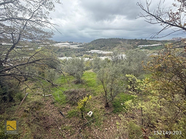 ALANYA TOSLAK MAHALLESİN’DE 2.KATLİ MÜSTAKİL EV + 4.758m2 MASRAFSIZ YOLA SIFIR MEYVELİ ARAZİ - Görsel 16