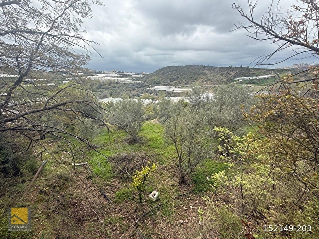 ALANYA TOSLAK MAHALLESİN’DE 2.KATLİ MÜSTAKİL EV + 4.758m2 MASRAFSIZ YOLA SIFIR MEYVELİ ARAZİ - Görsel 17