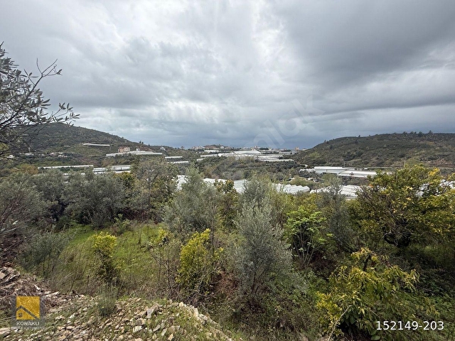 ALANYA TOSLAK MAHALLESİN’DE 2.KATLİ MÜSTAKİL EV + 4.758m2 MASRAFSIZ YOLA SIFIR MEYVELİ ARAZİ - Görsel 19