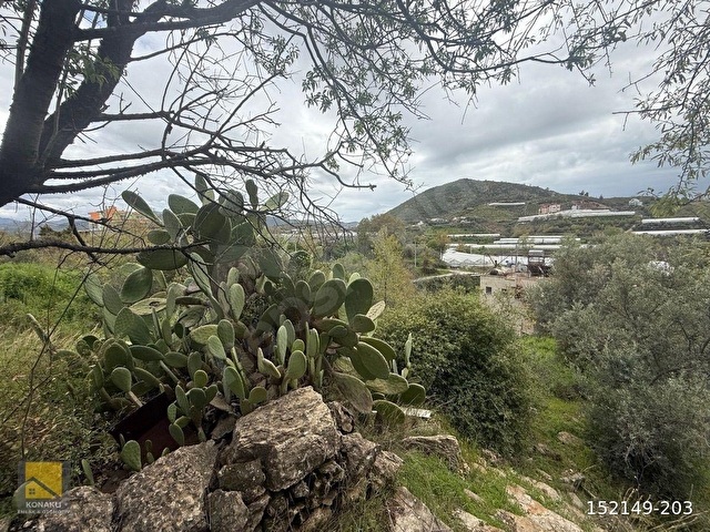 ALANYA TOSLAK MAHALLESİN’DE 2.KATLİ MÜSTAKİL EV + 4.758m2 MASRAFSIZ YOLA SIFIR MEYVELİ ARAZİ - Görsel 22
